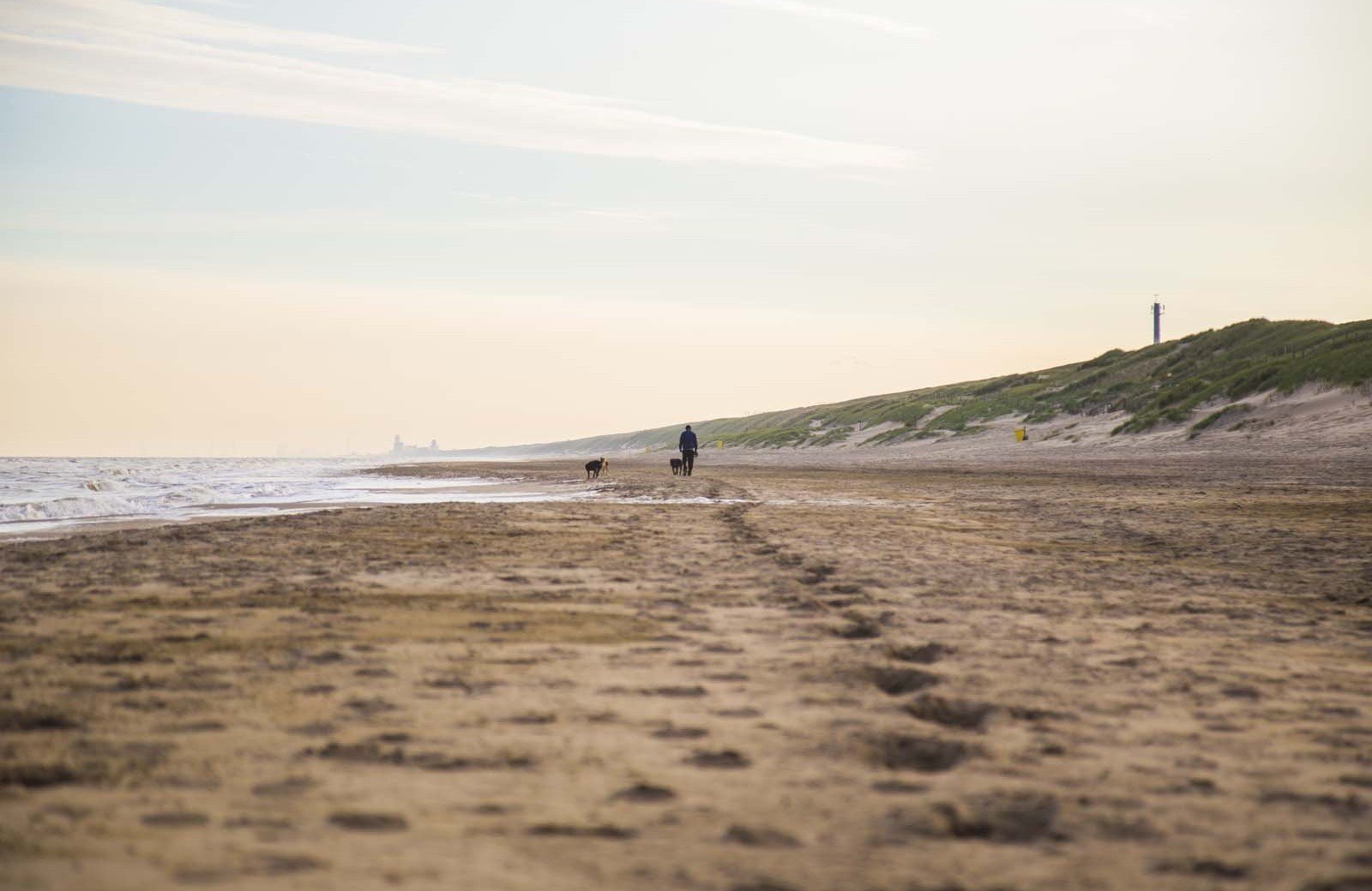 Die Magie <br/><span class="ivy-mode-font"> des Strandes...</span>