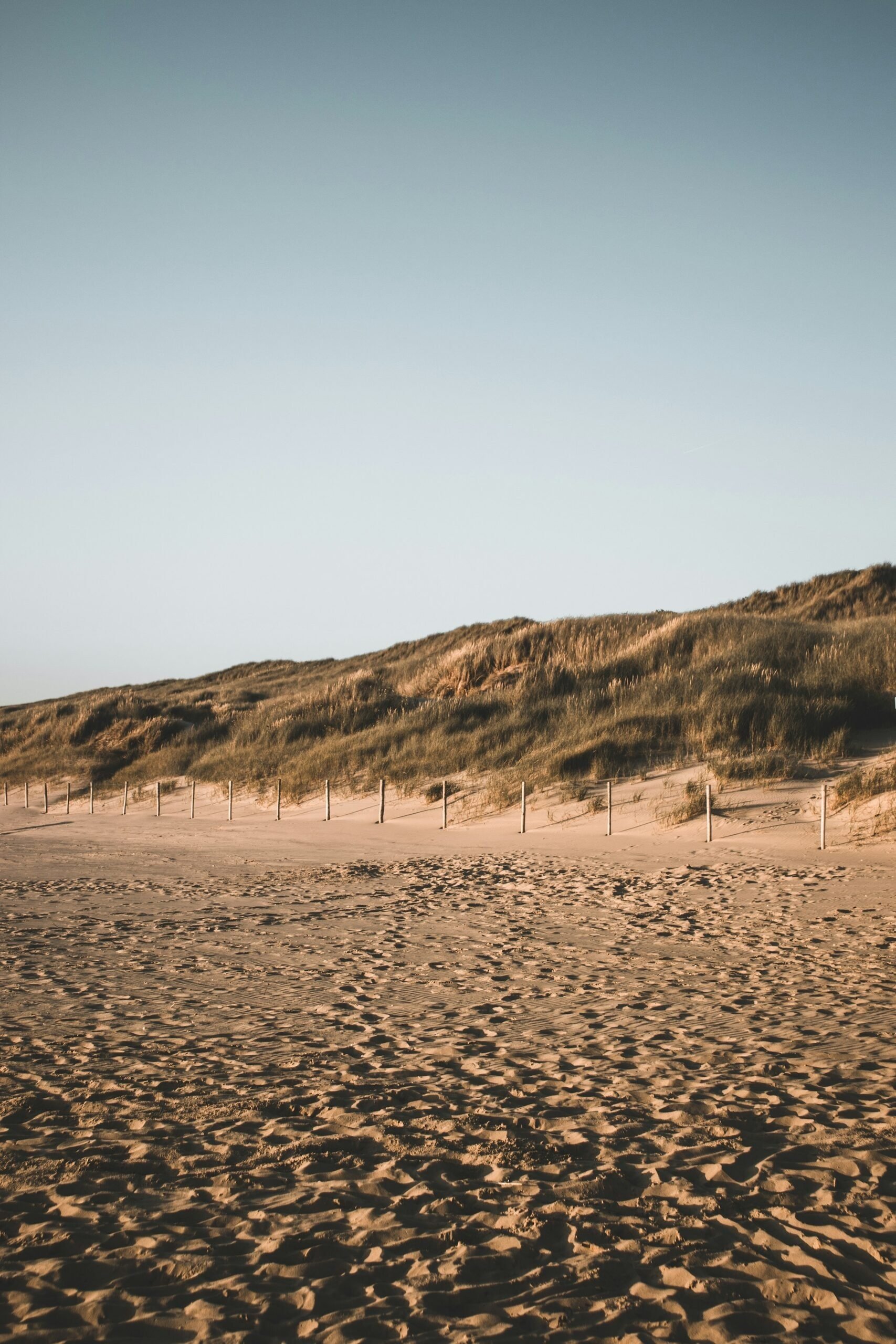 Simon marsault mly1zyhzmt8 unsplash